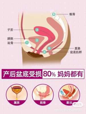 产后盆地恢复有用吗（产后盆底）