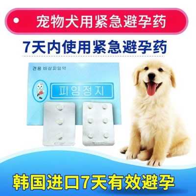 狗狗避孕药吃了有用吗（狗狗吃避孕药管用不）