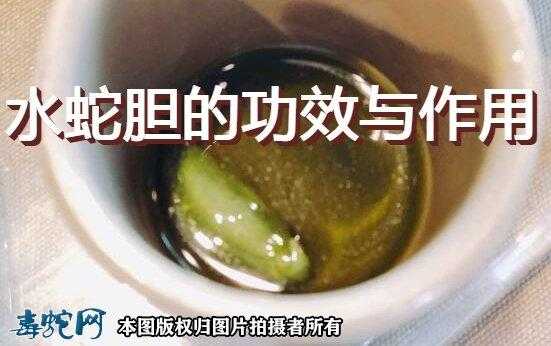 水蛇蛇胆有用吗（水蛇蛇胆能吃吗）